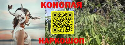 твердый Сланцы