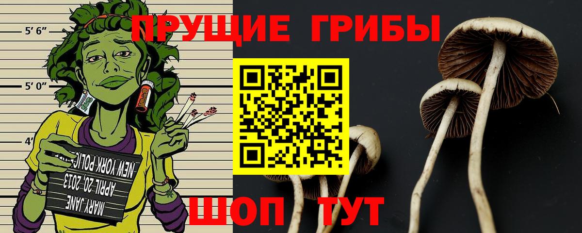 Галлюциногенные грибы ЛСД  Вход с VPN  купить наркоту  Подольск 